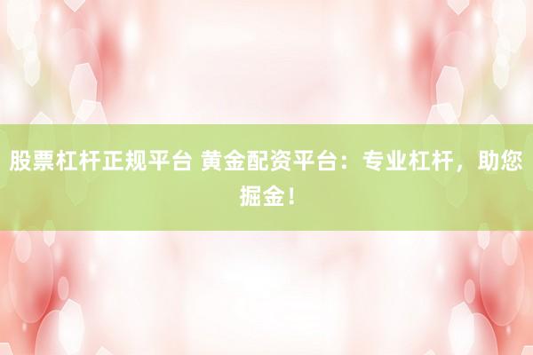 股票杠杆正规平台 黄金配资平台：专业杠杆，助您掘金！