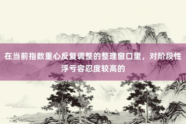 在当前指数重心反复调整的整理窗口里，对阶段性浮亏容忍度较高的