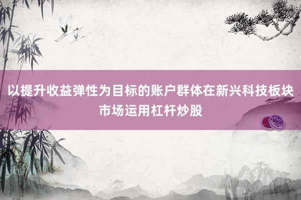以提升收益弹性为目标的账户群体在新兴科技板块市场运用杠杆炒股