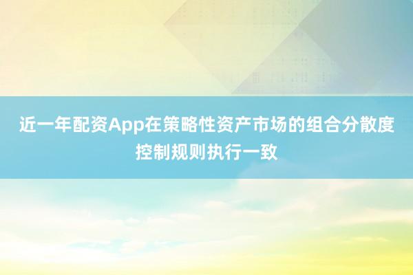近一年配资App在策略性资产市场的组合分散度控制规则执行一致