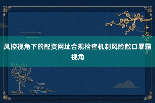风控视角下的配资网址合规检查机制风险敞口暴露视角