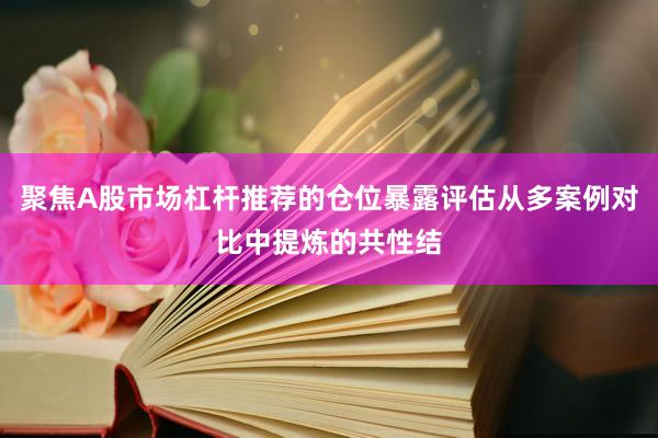 聚焦A股市场杠杆推荐的仓位暴露评估从多案例对比中提炼的共性结