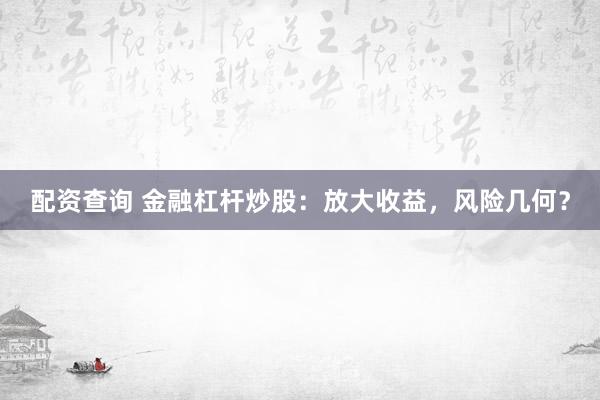 配资查询 金融杠杆炒股：放大收益，风险几何？