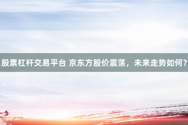 股票杠杆交易平台 京东方股价震荡，未来走势如何？